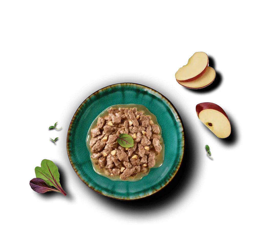 Фото преимущества